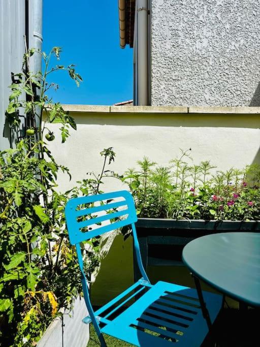 Apartment Rey - T2 Terrasse, Coeur De